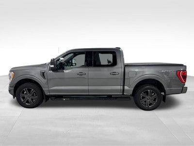 2023 Ford F-150 XLT Sport