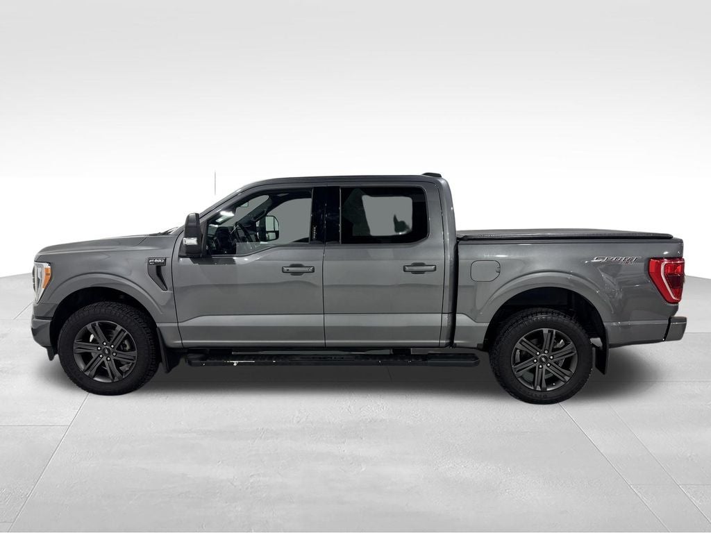 2023 Ford F-150 XLT Sport