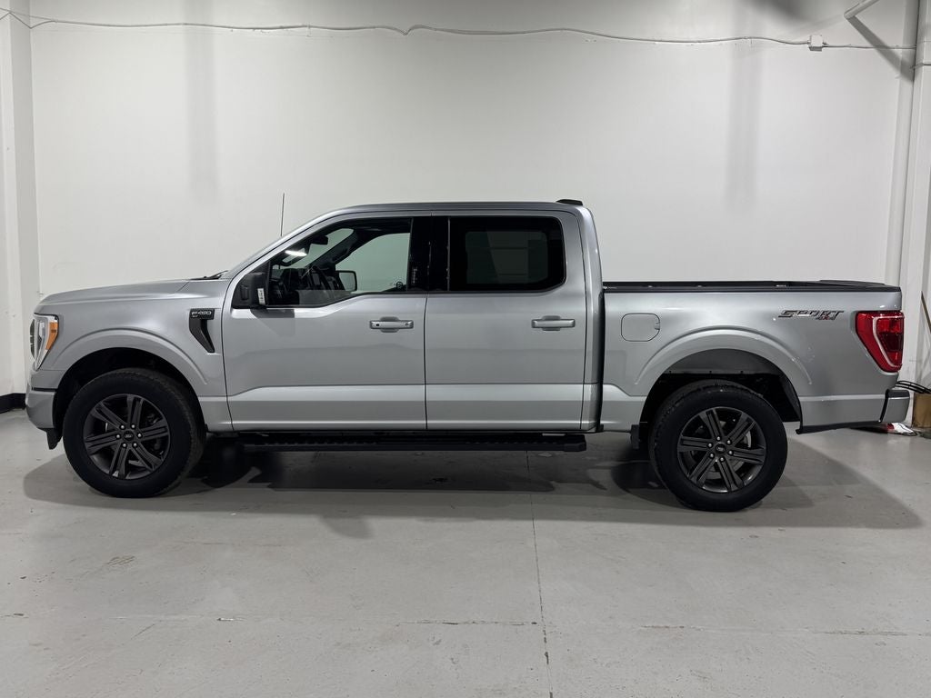 2023 Ford F-150 XLT Sport