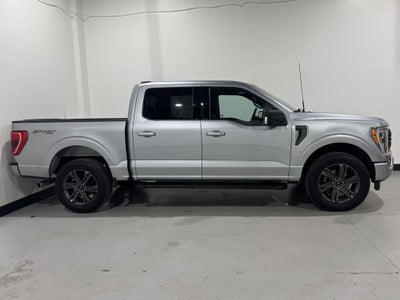 2023 Ford F-150 XLT Sport