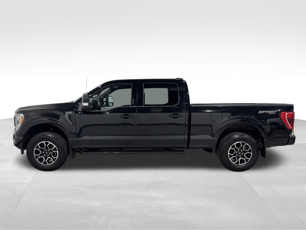 2023 Ford F-150 XLT Sport