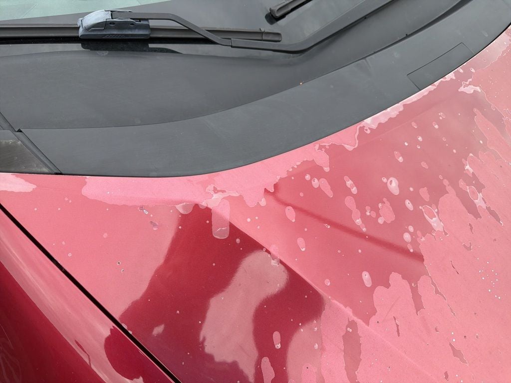 2010 Honda Insight EX