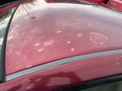 2010 Honda Insight EX