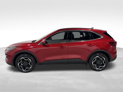 2026 Ford Escape Platinum