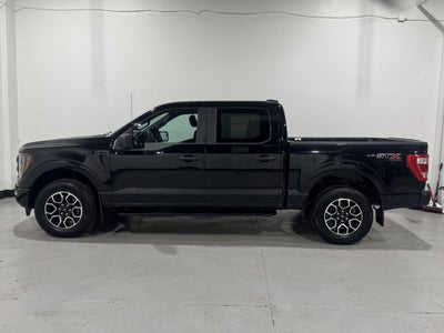 2023 Ford F-150 XL STX