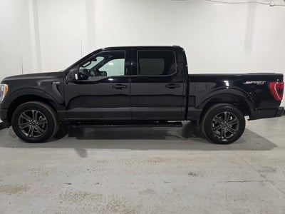 2021 Ford F-150 XLT Sport
