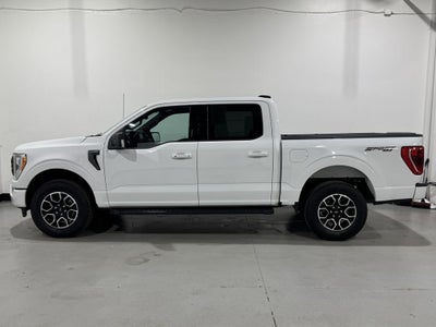 2023 Ford F-150 XLT Sport