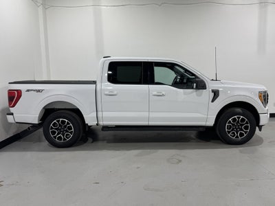 2023 Ford F-150 XLT Sport