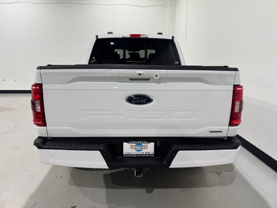 2023 Ford F-150 XLT Sport