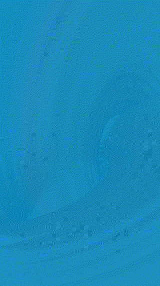 Free Brake Inspection