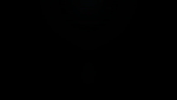 Leave The Details To Us